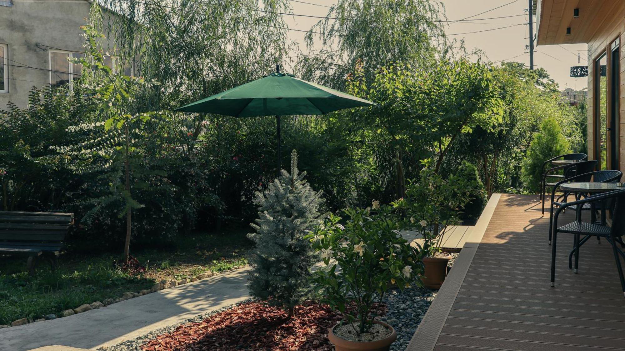 Garden In Lodge Koutaïssi